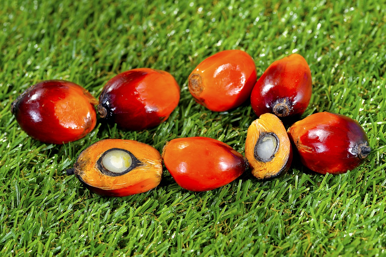 How Much Do You Know About Palm Oil?