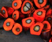 What Are The Benefits Of Using Palm Oil For Restaurants