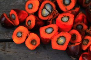 What Are The Benefits Of Using Palm Oil For Restaurants
