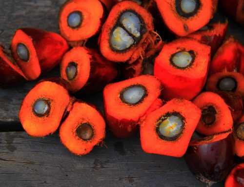 What Are The Benefits Of Using Palm Oil For Restaurants?